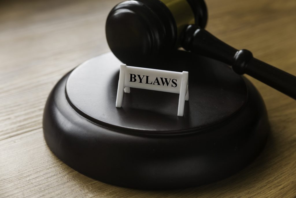 Bylaws phrase with gavel